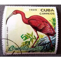 Марка Куба 1989 год Птицы