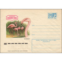 Художественный маркированный конверт СССР N 10457 (14.04.1975) Заповедник Аскания-Нова  Фламинго