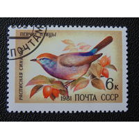 СССР 1981 г. Птицы.