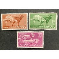 Испанские колонии. Сахара 1962. Фауна 1962 3 марки 243-245