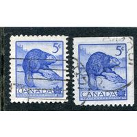 Канада. Стандарт. Фауна. Обыкновенный бобр. Разная зубцовка