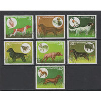 Фауна Собаки Болгария 1985 Породы охотничьих собак Used