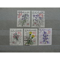 Продажа коллекции с 1 рубля! Флора на почтовых марках мира.