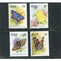 Ирландия. Фауна. Бабочки