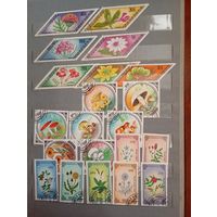 Флора сборный Монголия 3 серии