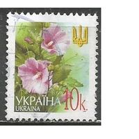Украина. 6-й стандарт. Цветы. Мальва. 2006г. Mi#495. Тип IV.