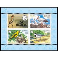 2002 БЕЛАРУСЬ блок коллекционных марок Птицы года MNH
