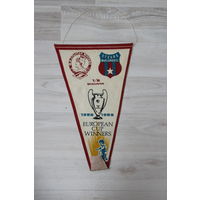 Вымпел, European Cup Winners, финал, 1988-1989.