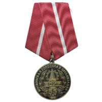 Медаль 55 лет ВОИР