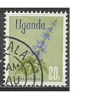 Уганда. Цветы. Калеус барбатус. 1969г. Mi#108.