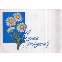 Чистая открытка 1962г. "С днем рождения! Ромашки" худ. Н. Круглов