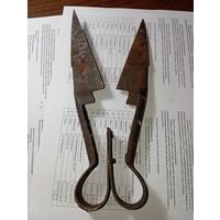 Ножницы для стрижки овец  .