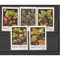 ФФ1 СССР 1982 Лесные ягоды