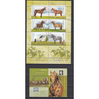 Фауна. Лошади. Аргентина. 2000. 1 малый лист и 1 блок. Michel N 2607-2612, бл72 (13,5 е)