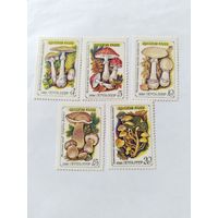 СССР  1986 5 м грибы