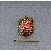 Дружинник.