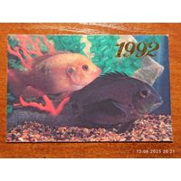 Календарик Уару Черный и Хромис Красный 1992 Папикьян