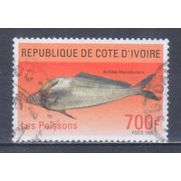 [1337] Кот д'Ивуар 1996. Фауна.Рыбы. Концовка серии.Гашеная марка.