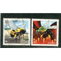 Канада. Фауна. Насекомые. Пчелы