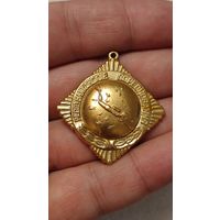 Значок знак Республиканские Соревнования Водолазный спорт без верхней части,200 лотов с 1 рубля!!!