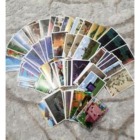 Наклейки майнкрафт Minecraft Panini много номеров