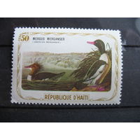 Гаити.  Птицы Адюбон.  1975 г. см. условие.