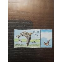 Беларусь 2011 кроншнеп