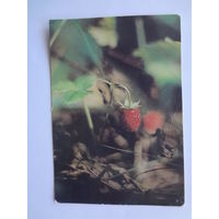 Календарик 1992 г. Земляника.