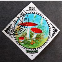 Марка Монголия 1985 год Грибы
