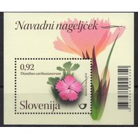 Словения 2010.Флора. Цветы блок (845)