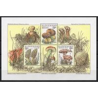 Словакия 1997. Флора. Грибы. 1 блок (9)