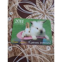 Календарик,кролик,2011