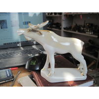 Лось, Полонное.