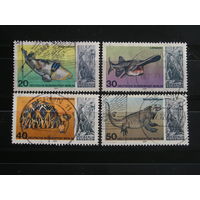 Зап. Берлин 1977 Ископаемая фауна