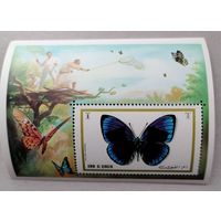 Умм-эль-Кайвайн. Бабочки.