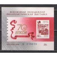Марки СССР. 1988г. 70 лет ВЛКСМ (виньетка)