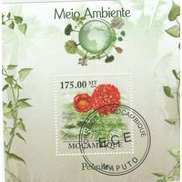 Мозамбик ,,Флора,, 2010г