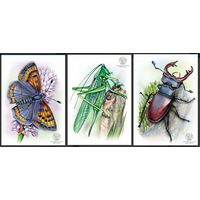 Фауна Беларуси. Насекомые. Открытки, 2025