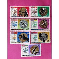 КНДР. Спорт. ( 7 марок ) 1980 года. 6-16.