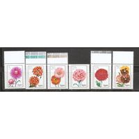 ФФ1 ГДР 1975 Цветы