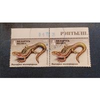 2018г Беларусь  Рептилии. Ящерицы фауна