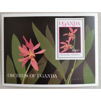 Цветы. Орхидеи.