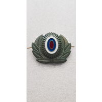 Кокарда МВД Россия*