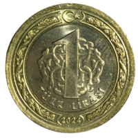 Турция 1 лира, 2024 (тонкая) [AUNC]