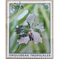 Куба 1973. Флора. Цветы. Vanda gilbert inbulet. Марка из серии