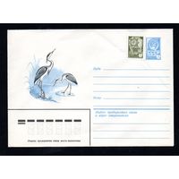 Художественный маркированный конверт СССР N 15923 (28.10.1982) Серая цапля