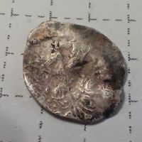 Чешуя крупная 5-2