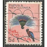 Папуа Новая-Гвинея. Синяя райская птица. 1964г. Mi#64.