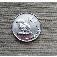 Werty71 Замбия 1 квача 2012 замбийский Бербет Птица