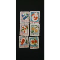 КНДР фрукты 6шт